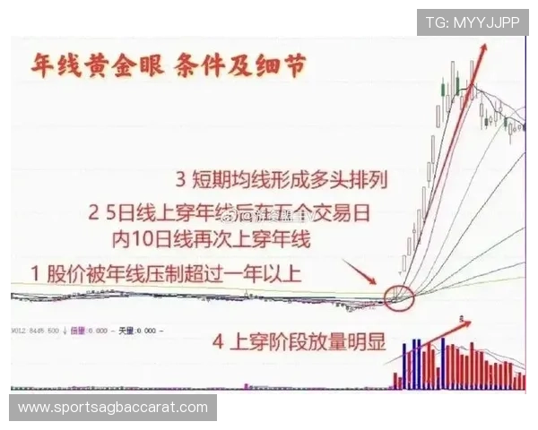 掌握ag捕鱼稳赚技巧实现持续盈利的有效策略